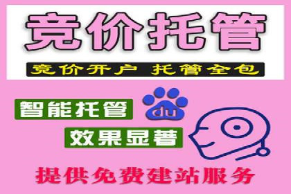 网站sem托管案例分享：如何精准投放广告